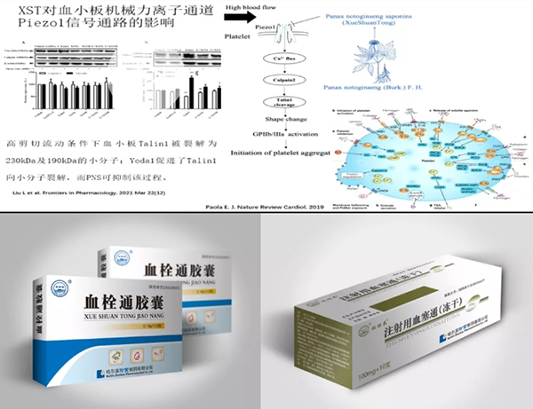 看球网站直播